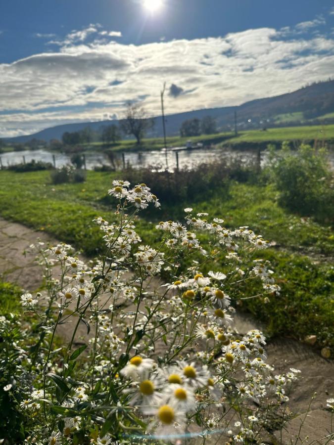 Haus An Der Weser * Oedelsheim